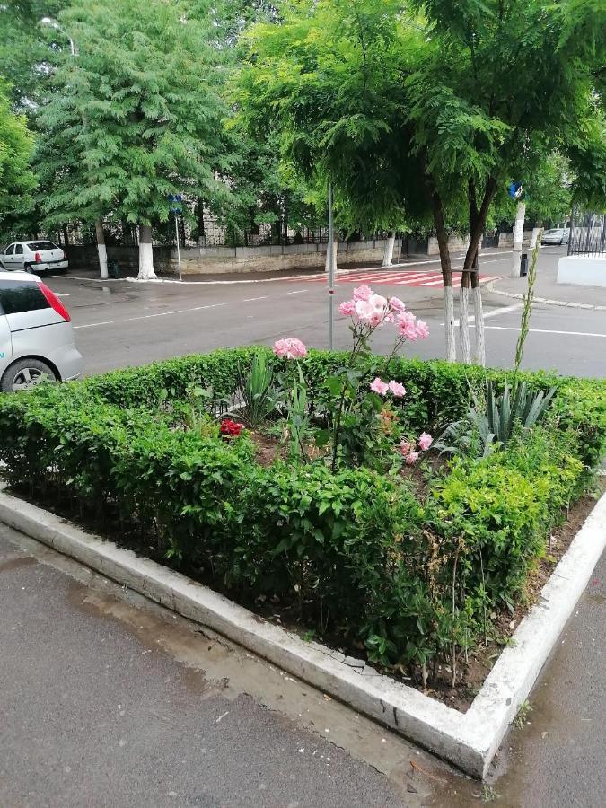 Apartament Mara Studio Konstanca Zewnętrze zdjęcie