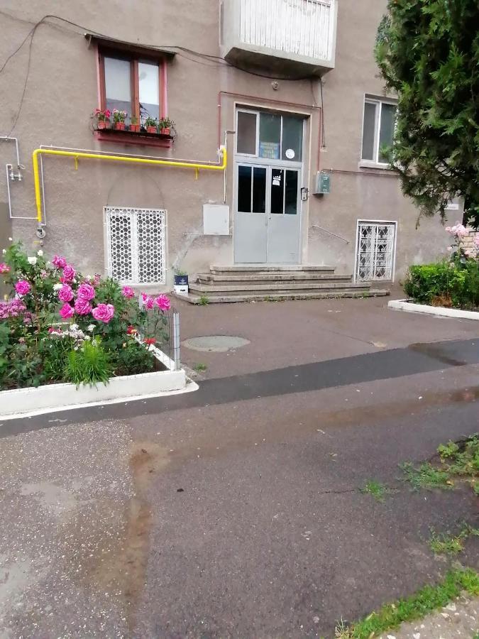 Apartament Mara Studio Konstanca Zewnętrze zdjęcie